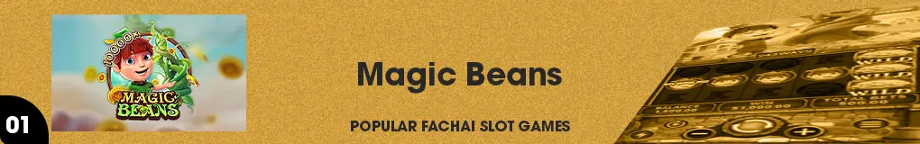 fachai magic beans